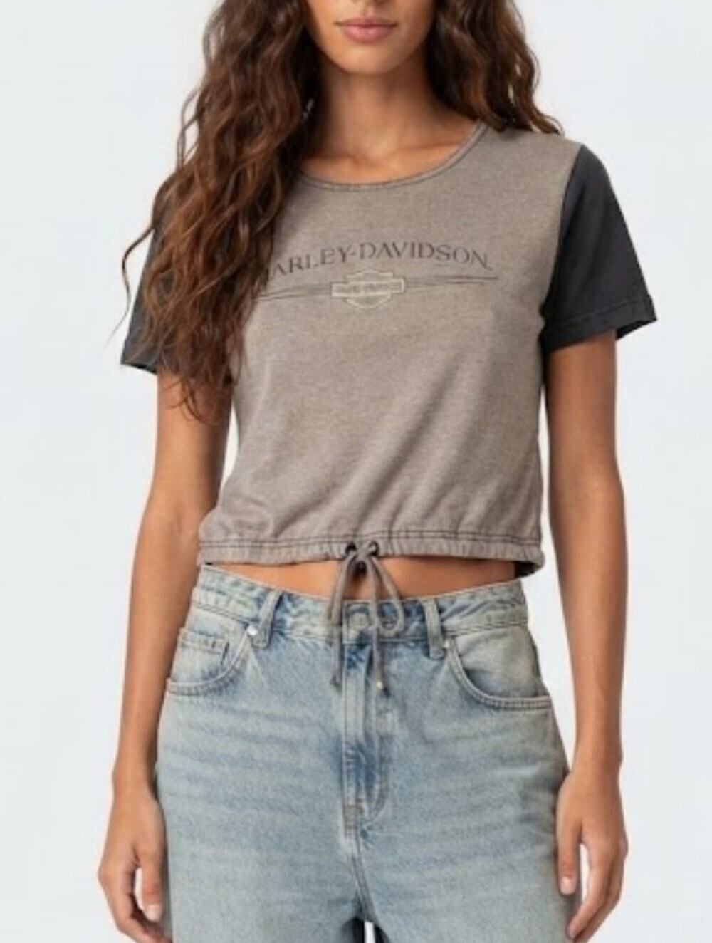 Vintage Harley-Davidson Graphic Cropped Colorblock Tee In Tan/Gray - S
